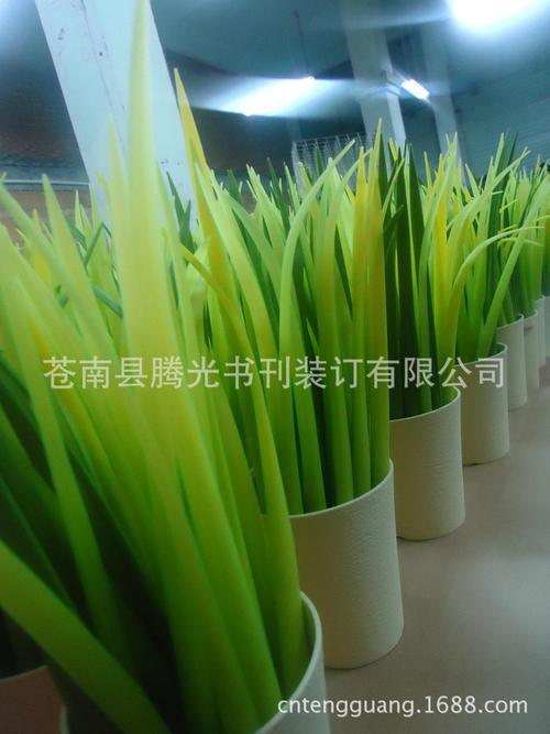 工厂供应 pooleaf小草叶笔 青草笔 单支装 专利产品 仿冒必究